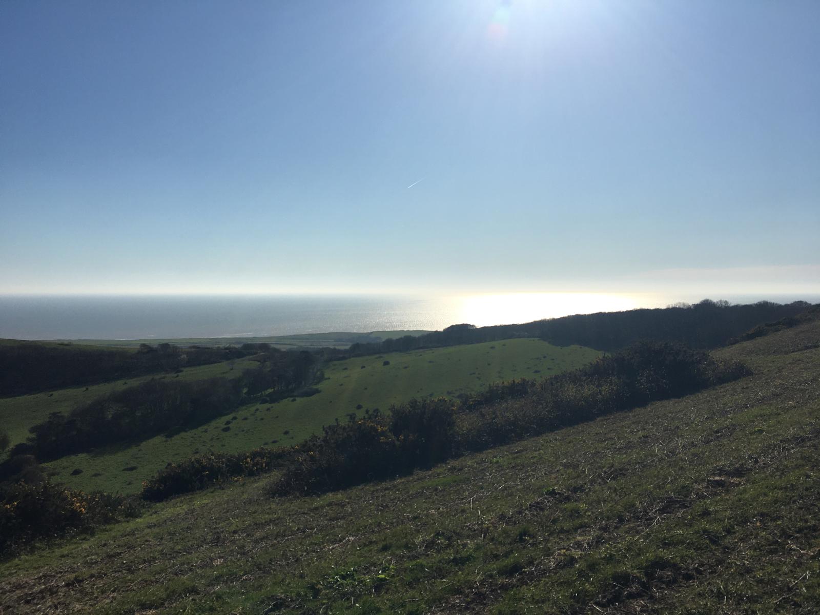 Sunlit green hillside looking out to sea